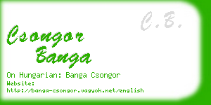 csongor banga business card